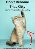 overcoming new cat anxiety