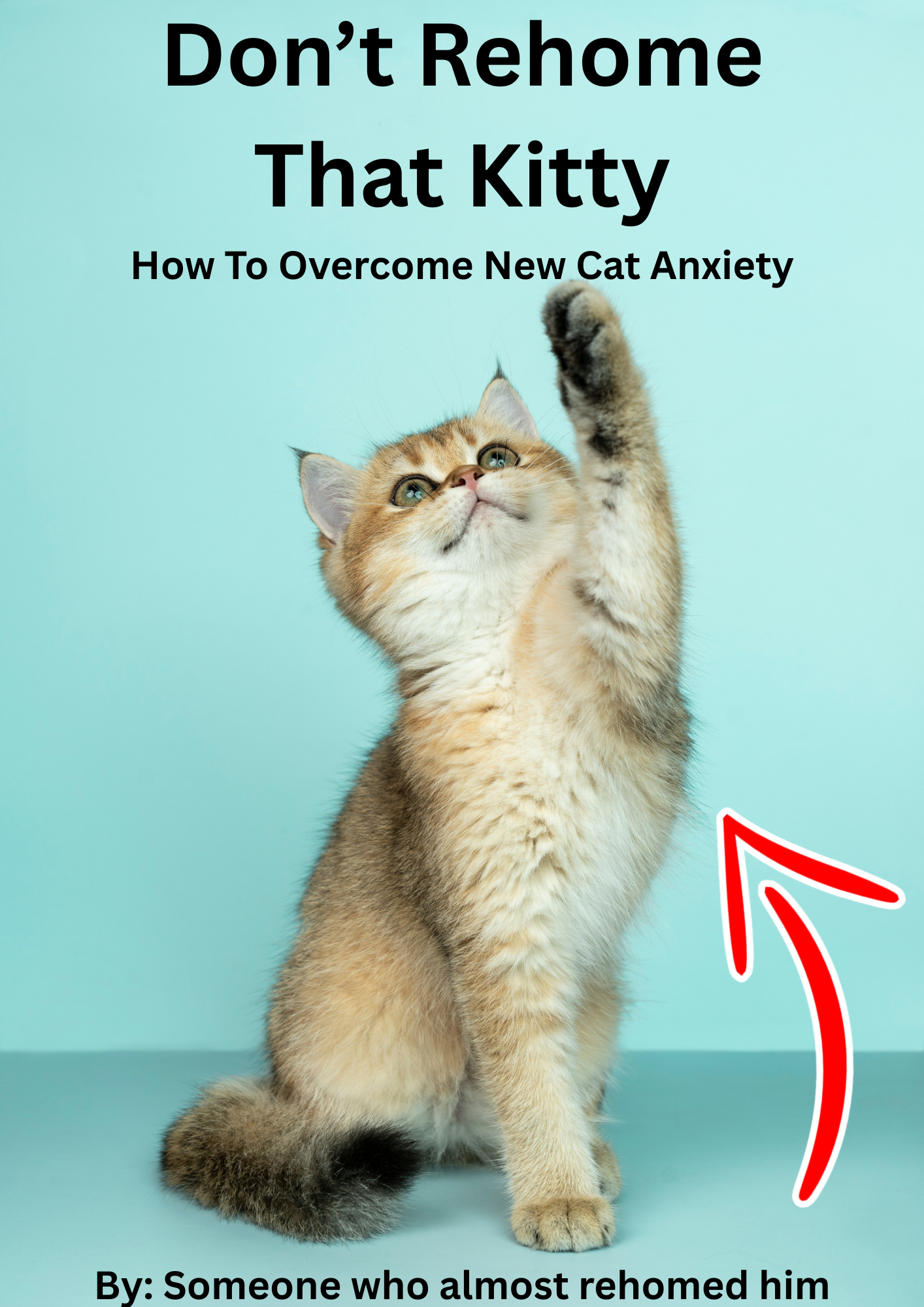 overcoming new cat anxiety
